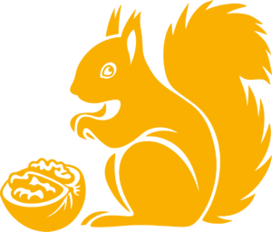 squirrel